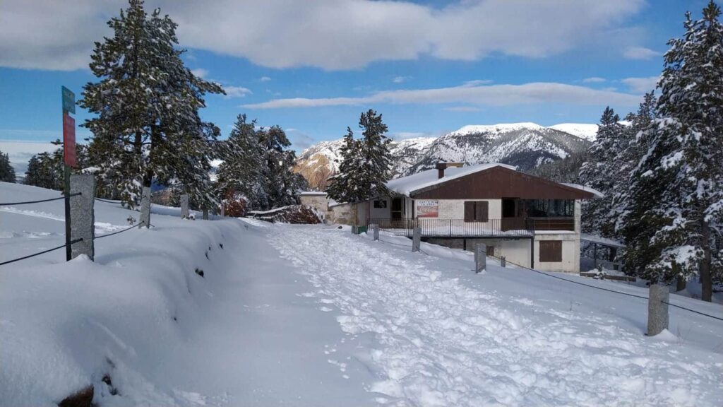 Restaurant Rasos de Peguera